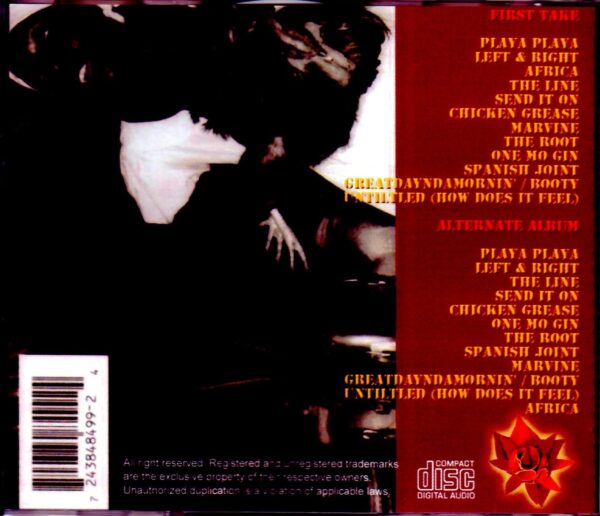 D'Angelo/Voodoo First Take & Alternate - Image 2
