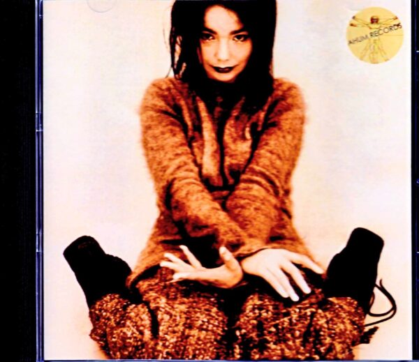 Bjork/Germany 1993