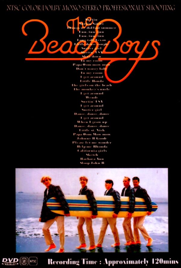 Beach Boys/Long Promised Road 1962-1966 - Image 2