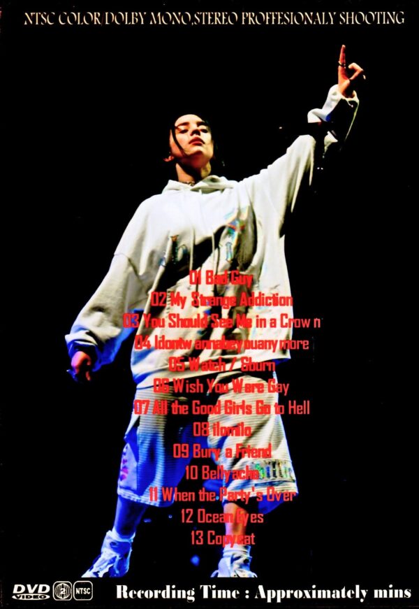 Billie Eilish/CA,USA 2019 - Image 2