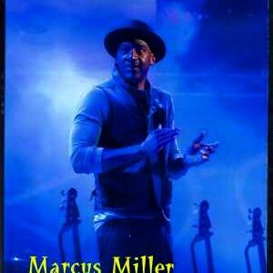 Marcus Miller/France 2013