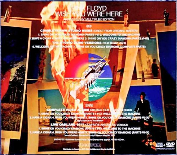 Pink Floyd Wish you were Here Anniversary Multiplex Edition - Image 2