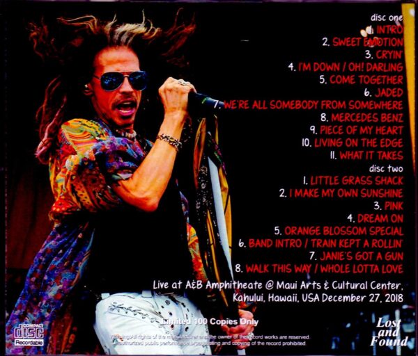Steven Tyler/Hawaii, USA 2018 - Image 2