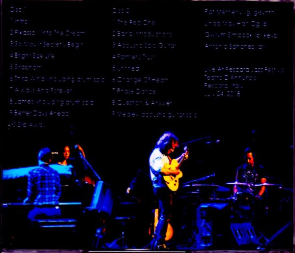 Pat Metheny/Italy 2018 - Image 2