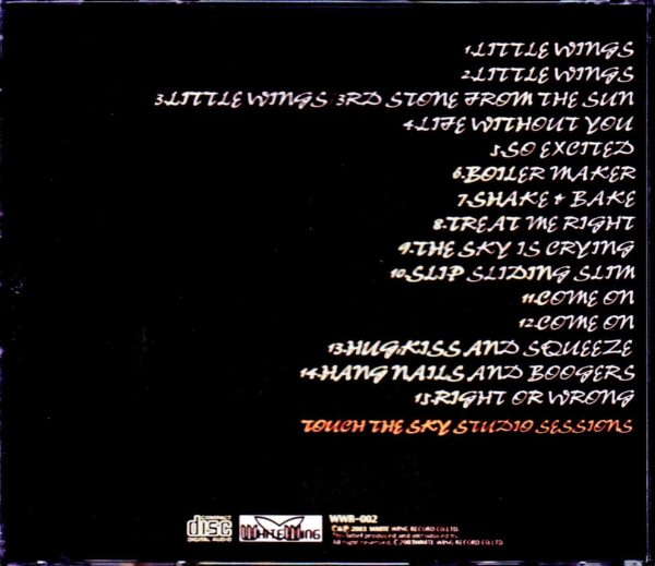 Stevie Ray Vaughan/Touch the Sky Studio Sessions - Image 2