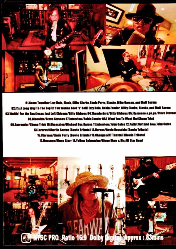 Various Artists Slash,Cheap Trick,Billy Gibbons,Steve Stevens,Ringo Starr/(DE)Tour Virtual Music Festival 2020 - Image 2