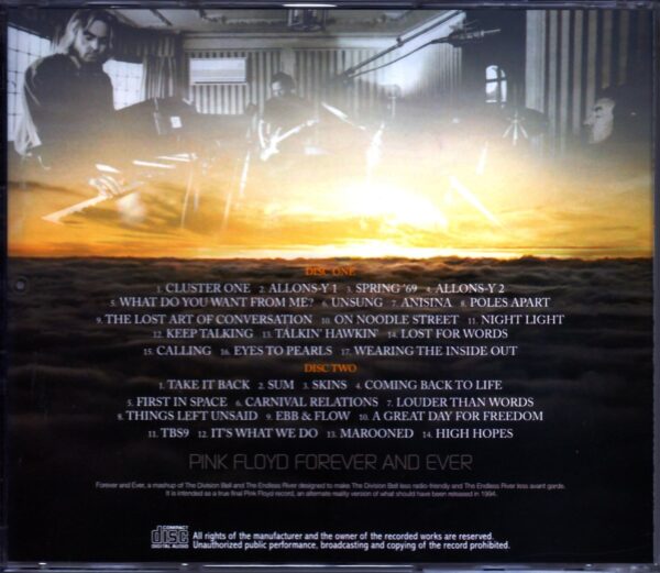 Pink Floyd/Forever and Ever Altemate Reality Version - Image 2