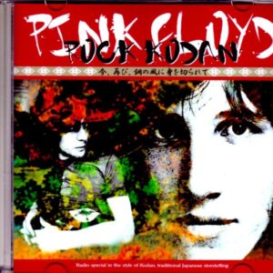 Pink Floyd Pink Floyd / Now, Again, Cut by the Wind of Steel
