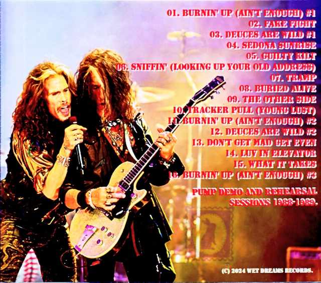 Aerosmith / Pump Demo & Rehearsal Sessions 1988-1989 - Image 2