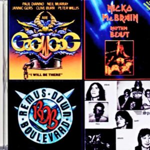Various Artists (Gogmagog, Nicko McBrain, Remus Down Boulevard) / Iron Maiden Family Tree